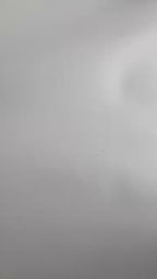 Medias de Red Profesionales para Baile