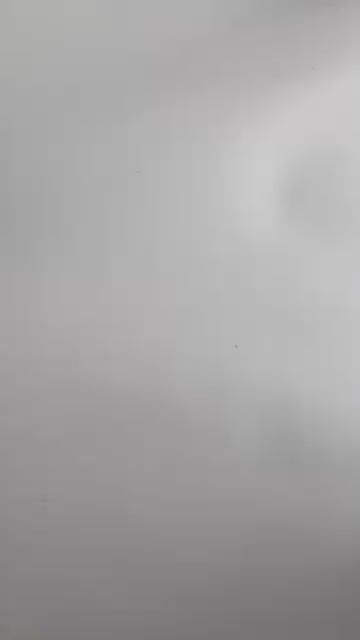 Medias de Red Profesionales para Baile